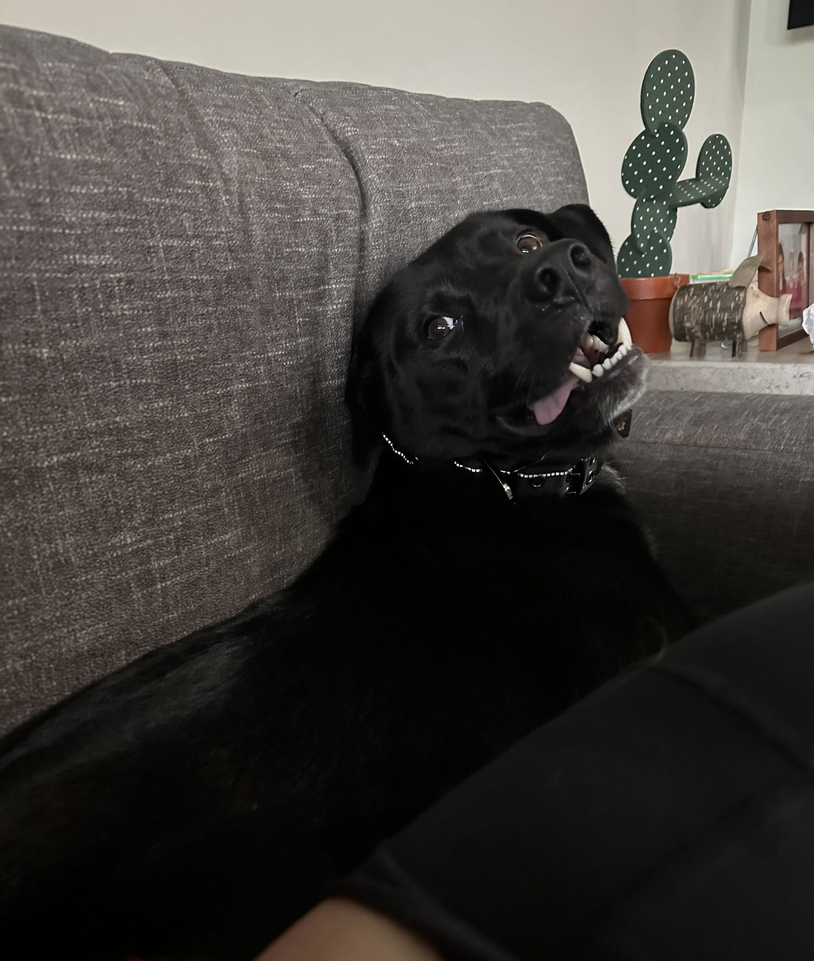 Oswald