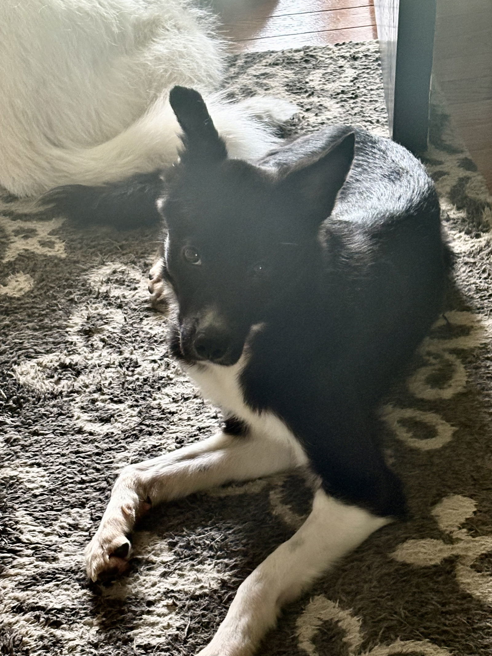 Peeta