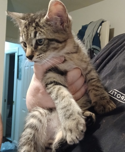 Kit