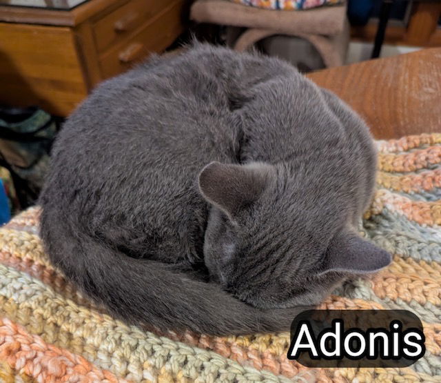 Adonis
