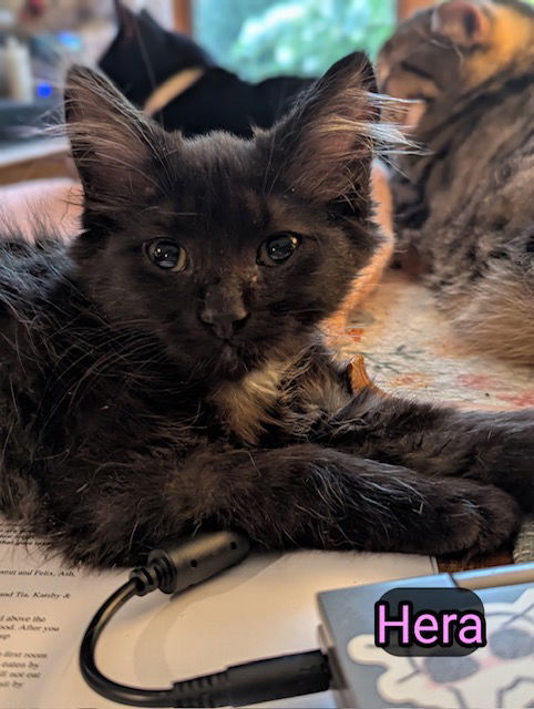 Hera