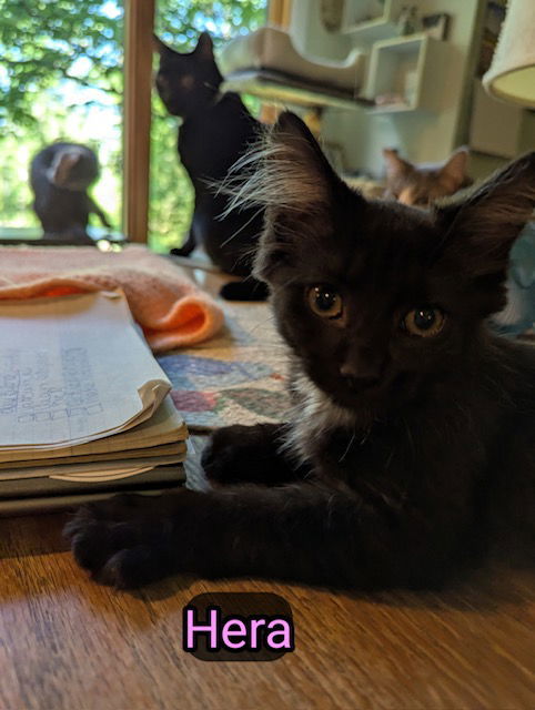 Hera