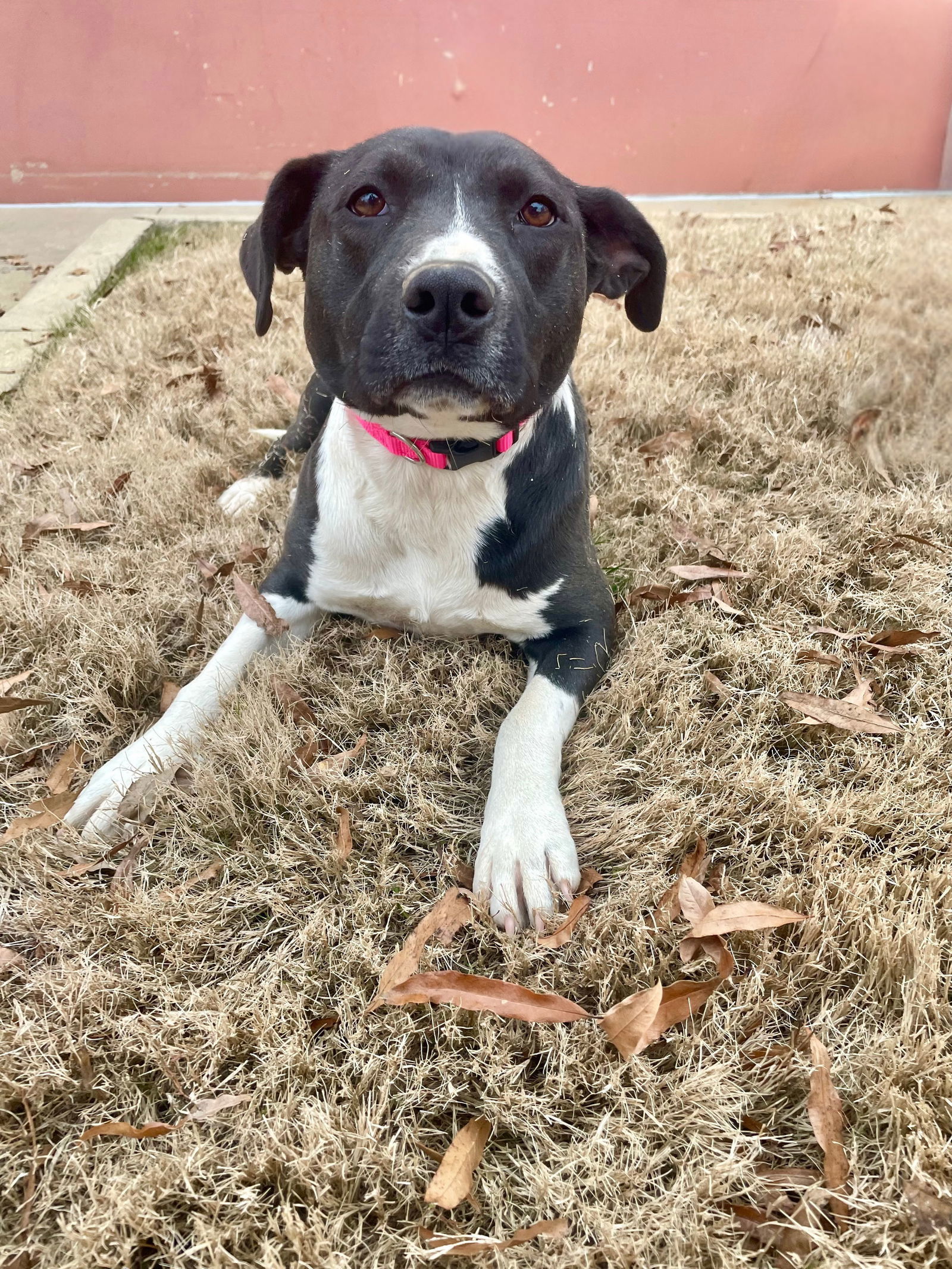 KIRA
