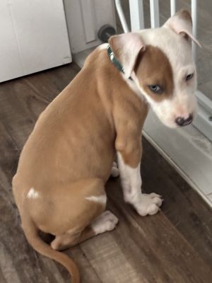 Bromine, Baby Male unknown