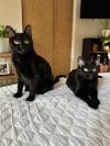 The Nannies photo 2