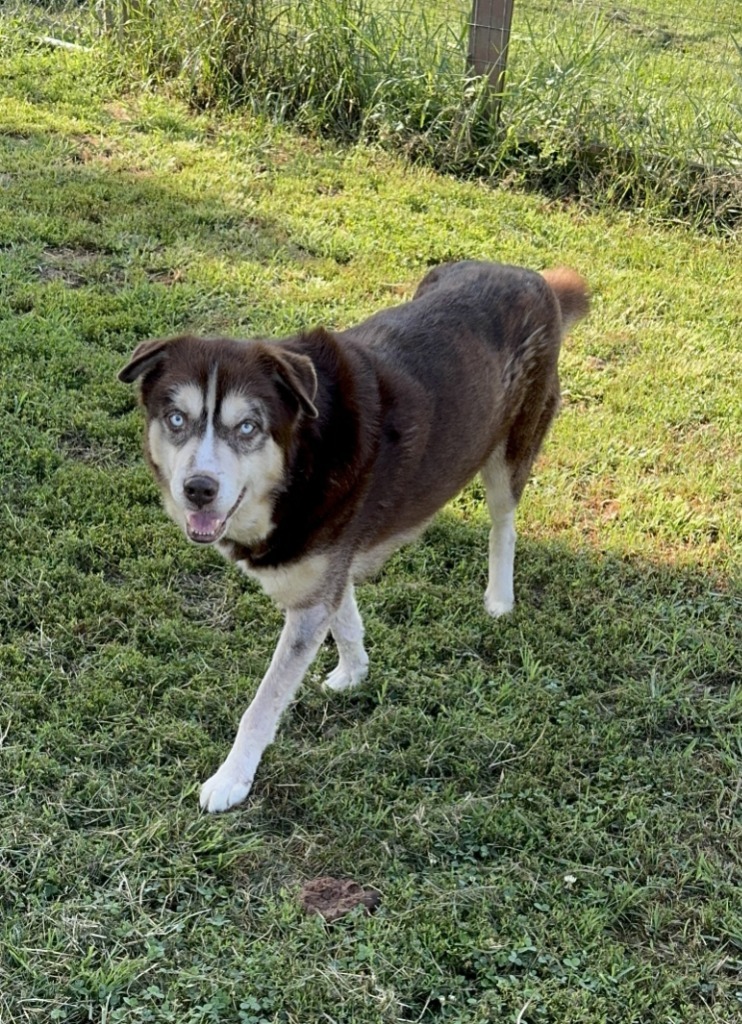Klondike