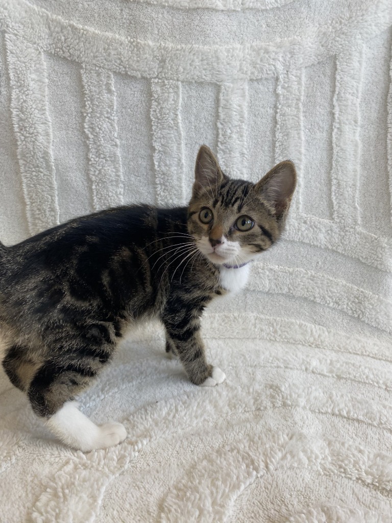 Theodore