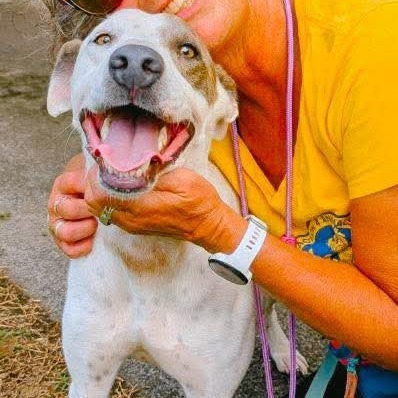 Patrick, an adoptable Mixed Breed in Volcano, HI, 96785 | Photo Image 6