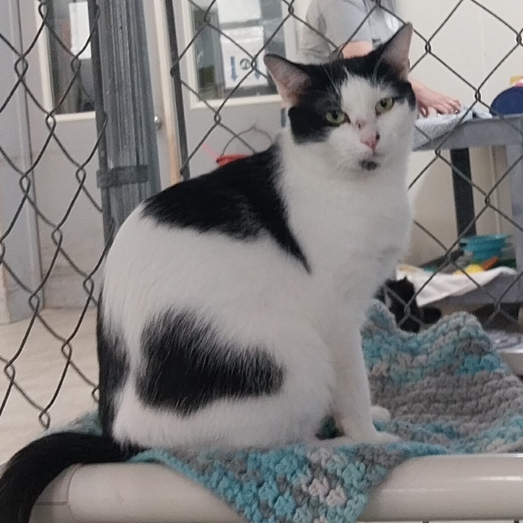 April (Horseheads PetSmart)