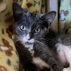 Maudie, Baby Female unknown