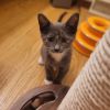Pixel photo 4