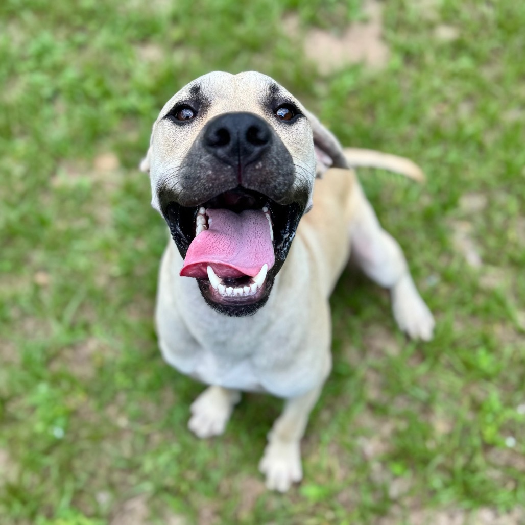 Tito