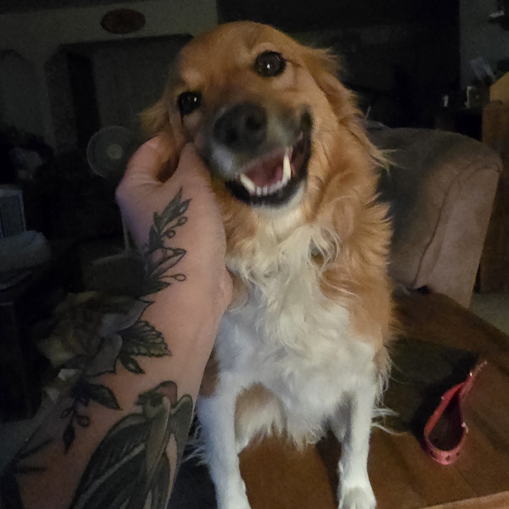 Bonkers