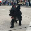 Harlow photo 5