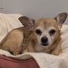 Mikey Ray-IN FOSTER photo 3