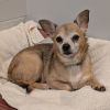 Mikey Ray-IN FOSTER photo 4