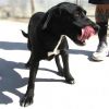 Nambe photo 1