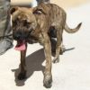 Ernie photo 1