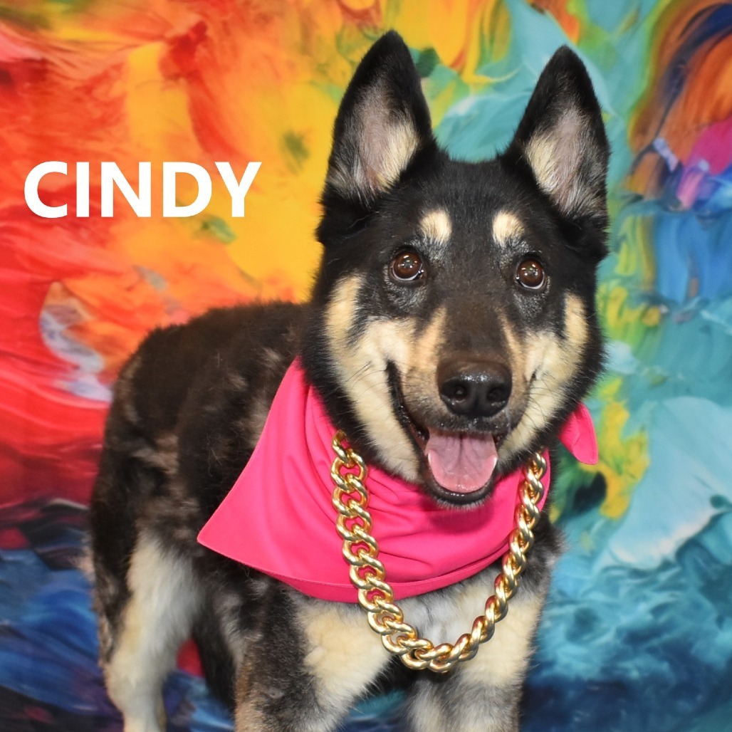 Cindy