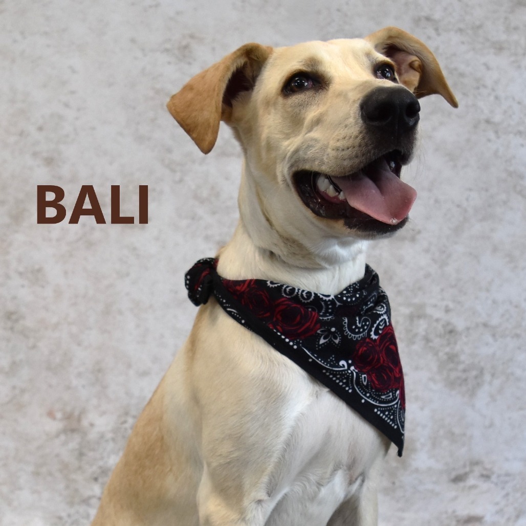 Bali