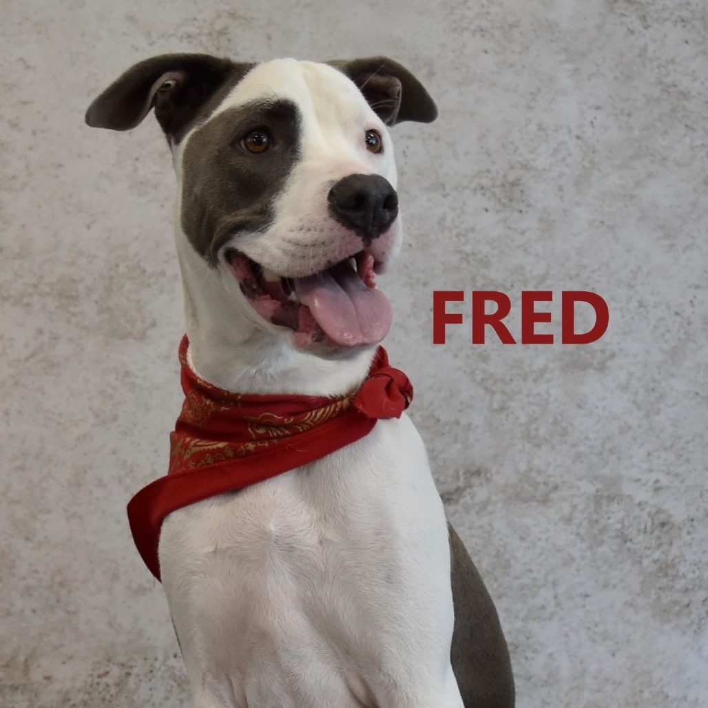 Fred