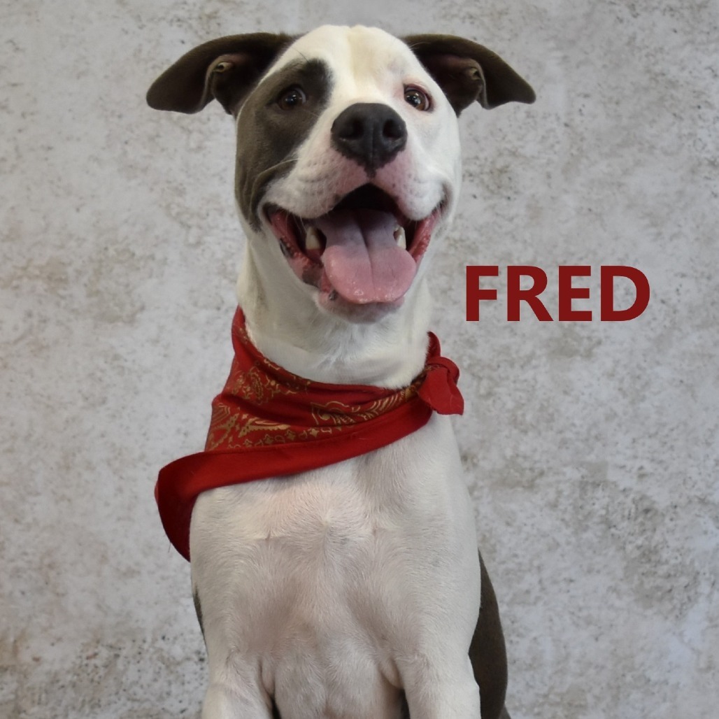 Fred
