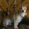 Buddy photo 3