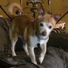 Buddy photo 4