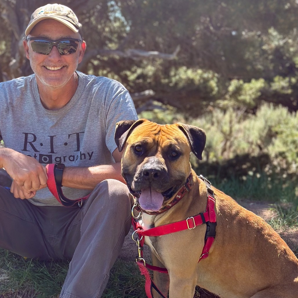 Toby, an adoptable Bullmastiff, Boxer in Glenwood Springs, CO, 81601 | Photo Image 6