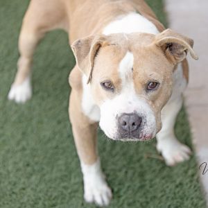 Fred, Senior Male unknown