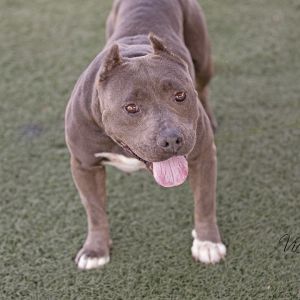 Velma, Senior Female unknown