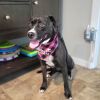Molly photo 3