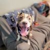 King photo 6