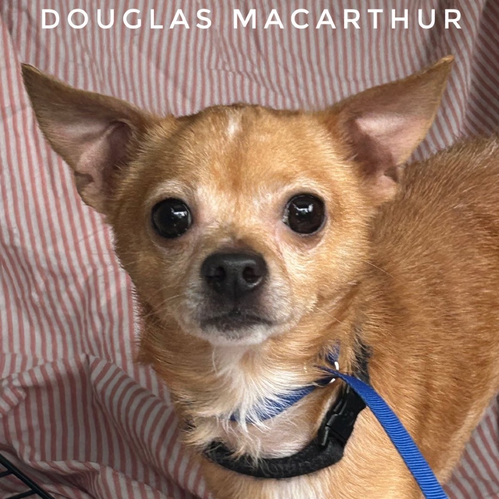 Douglas McArthur
