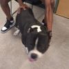 Meech photo 2