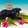 Olga photo 1