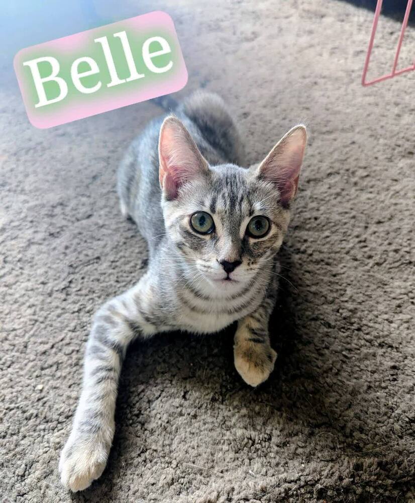 Belle