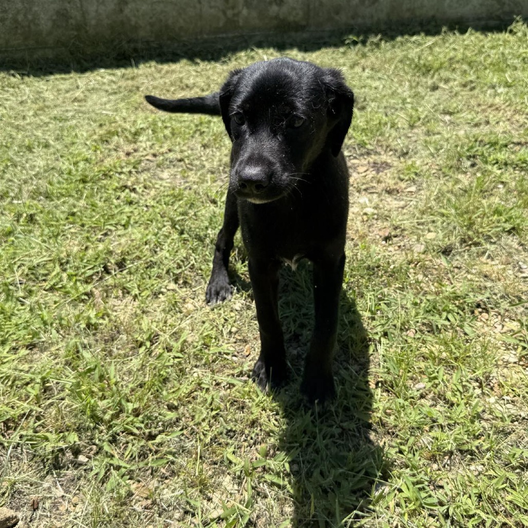 Shiloh 070306