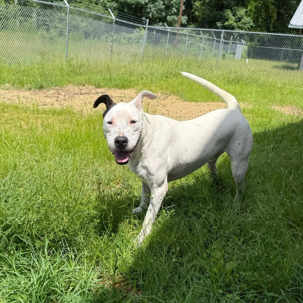 Milo 051601
