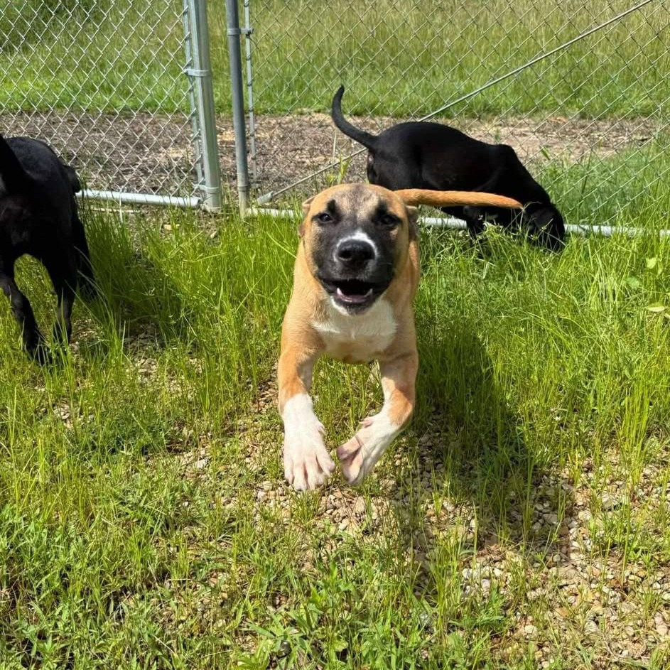 Darla 060103