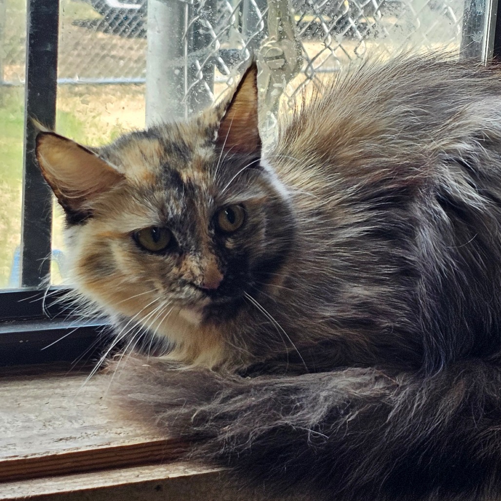 Lola 061101