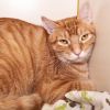 Horatio photo 1