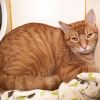 Horatio photo 3