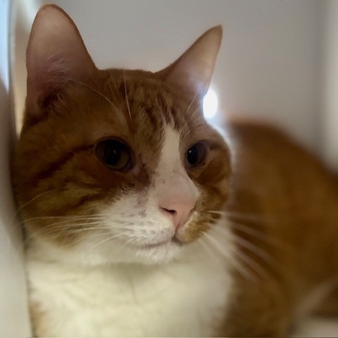 Sam