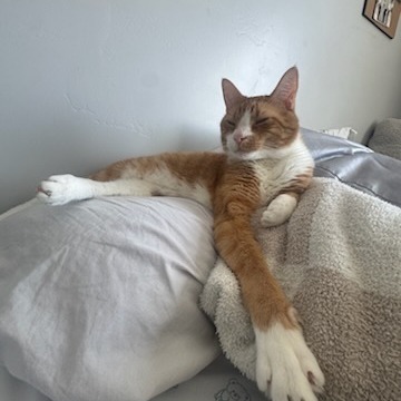 Sam