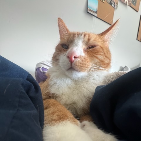 Sam