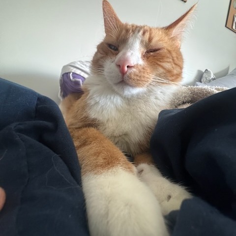 Sam