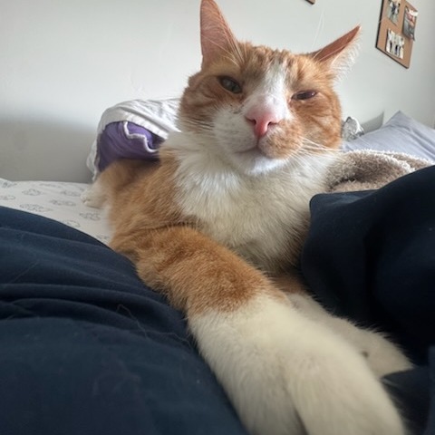Sam