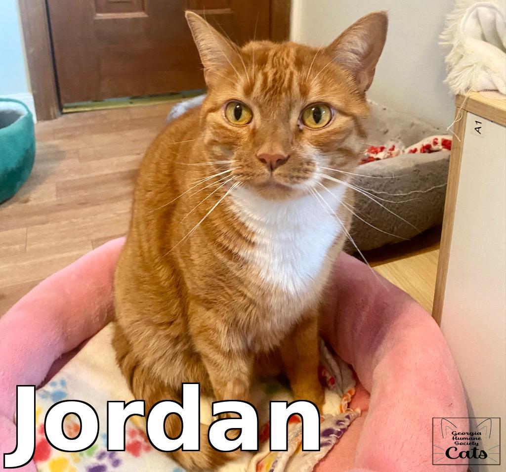 Jordan