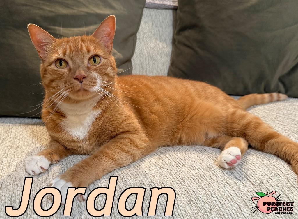 Jordan
